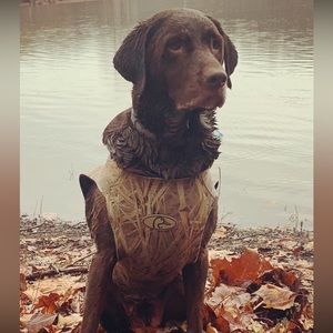 Meet your Posher, Jarrett